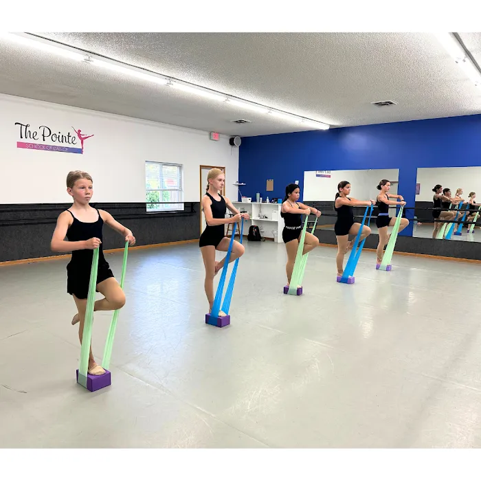 The Pointe School of Dance Picture 5
