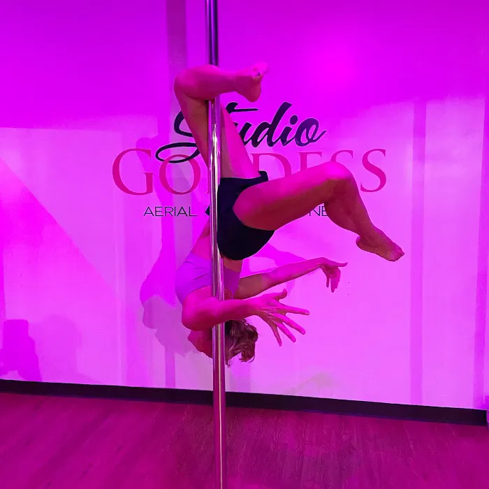 Studio Goddess: Aerial Dance & Pole Fitness Picture 1