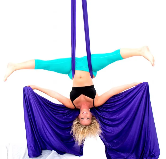 Studio Goddess: Aerial Dance & Pole Fitness Picture 5