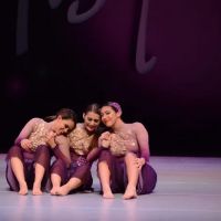 Hermitage Dance Academy ico