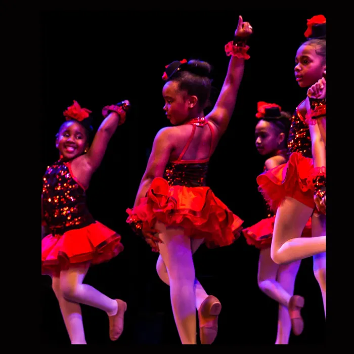 Rhythm & Revue Dance Theatre Picture 10