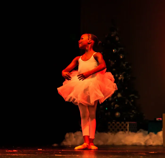Rhythm & Revue Dance Theatre Picture 3