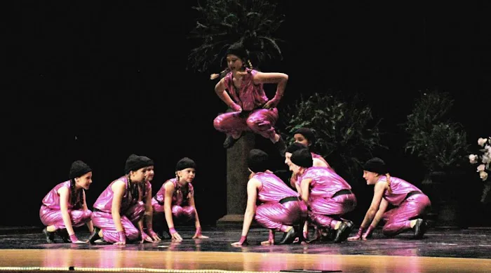The Dancers Academy Picture 2