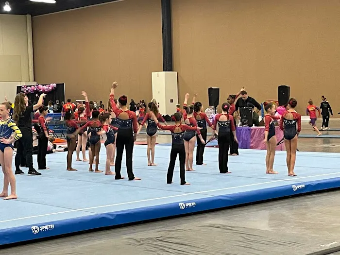 Universal Gymnastics, Inc Picture 4