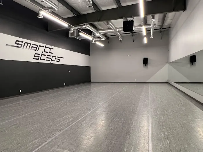 Smartt Steps Picture 1