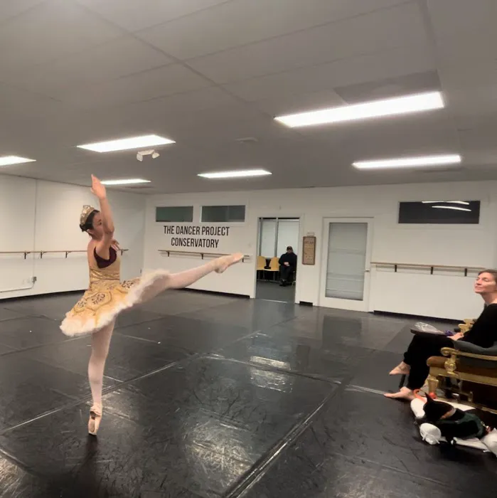 The Dancer Project Conservatory Picture 2