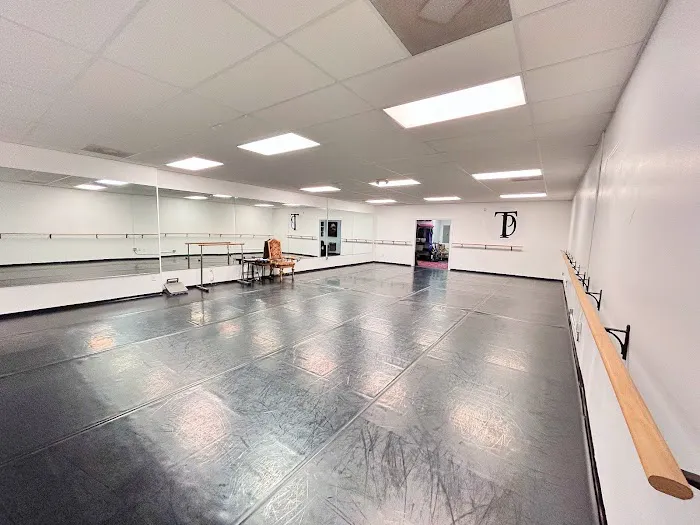 The Dancer Project Conservatory Picture 4
