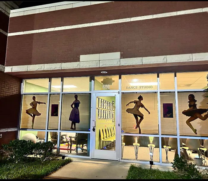 The Dancer Project Conservatory Picture 5