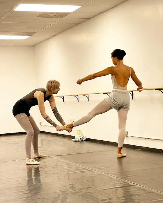The Dancer Project Conservatory Picture 9