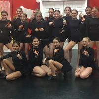 Dance Works ico