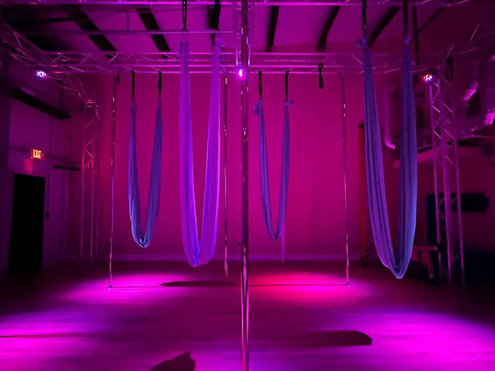 Studio Synergy Picture 5