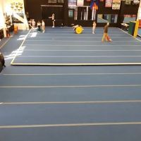 Premier Athletics Murfreesboro ico