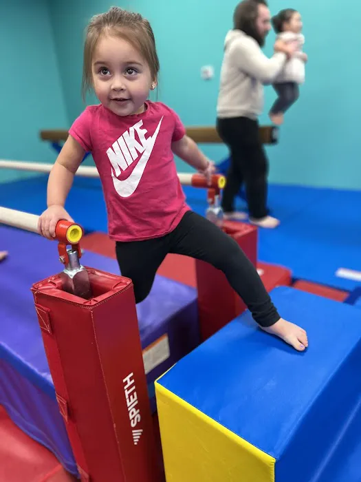 The Little Gym of Murfreesboro Picture 9