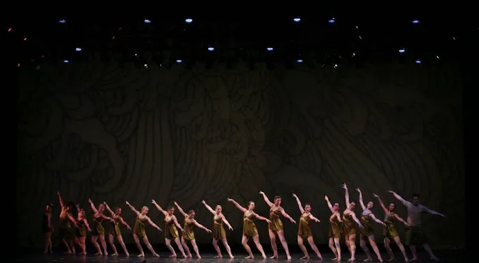 Dance Arts of Bowling Green Picture 6