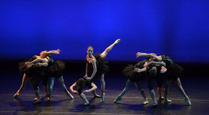 Dance Arts of Bowling Green Picture 2