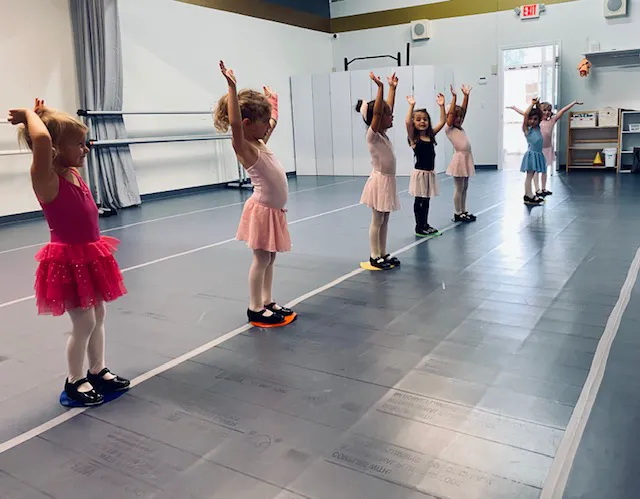 Vitality School of Dance & Fine Art, LLC Picture 1