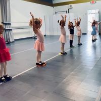 Vitality School of Dance & Fine Art, LLC ico