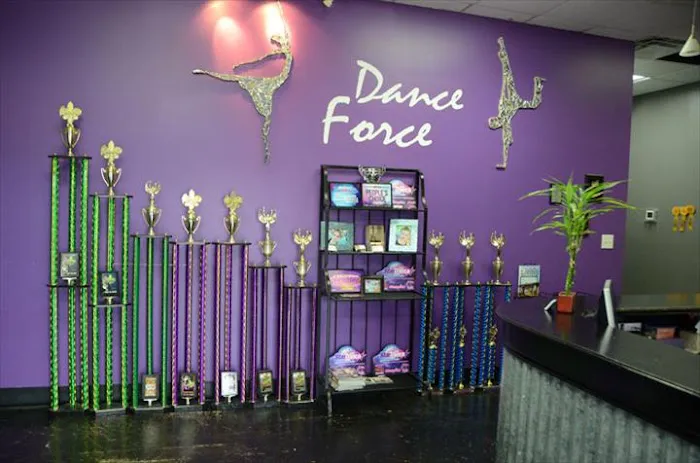 Dance Force, L.L.C. Picture 2