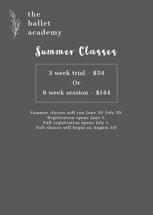 The Ballet Academy Picture 1