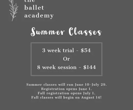The Ballet Academy