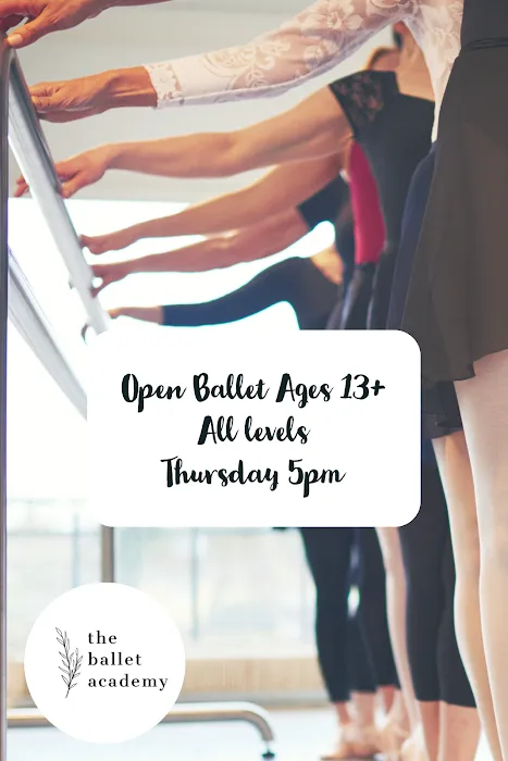 The Ballet Academy Picture 5