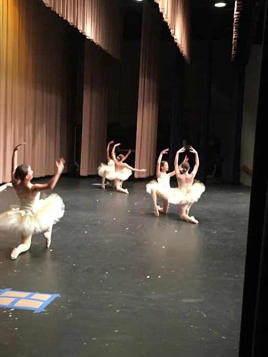 Lana's Dance Centre LLC Picture 1