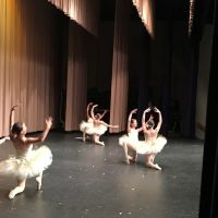 Lana's Dance Centre LLC ico