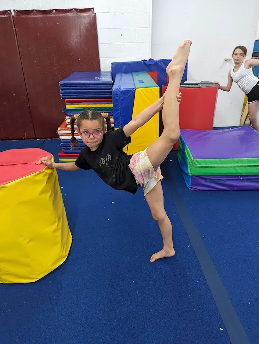Lou's Academy & Training Center Picture 7