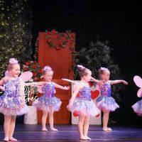 Tammy's School of Dance ico
