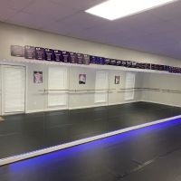 Southern Sensations Dance Studio ico
