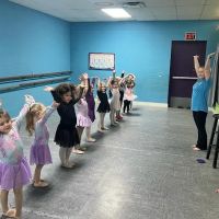 The Dance Academy Fayetteville ico