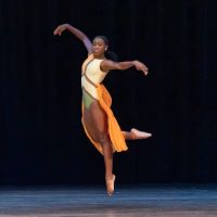 North Alabama Dance Center ico