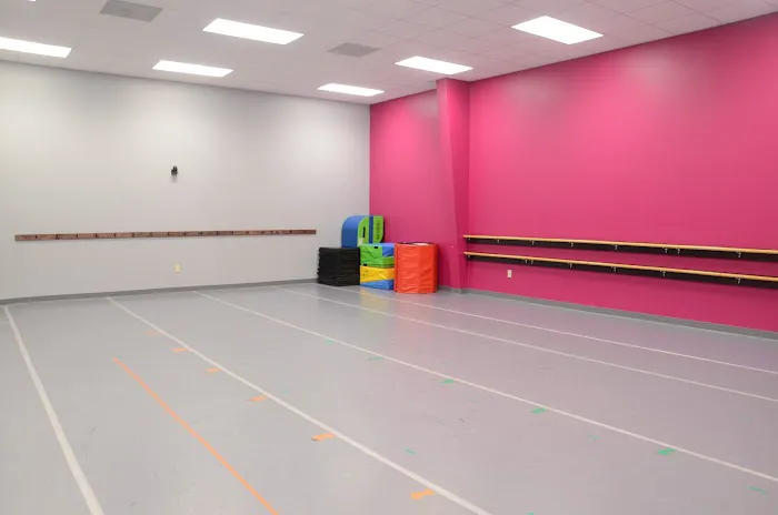 Progressive Academy of Dance Picture 8