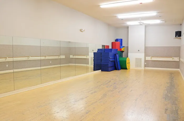 The Dance Company, Inc. Picture 2