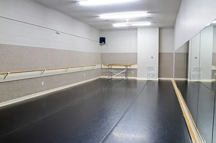 The Dance Company, Inc. Picture 4