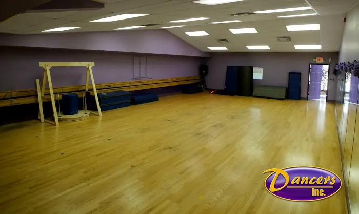 Dancers Inc Picture 3