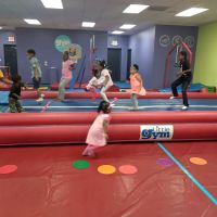 The Little Gym of Huntsville ico