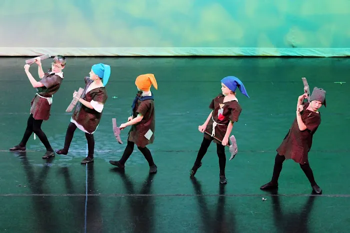 Alabama Youth Ballet Picture 10