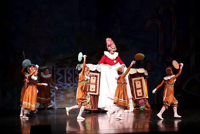 Alabama Youth Ballet Picture 7