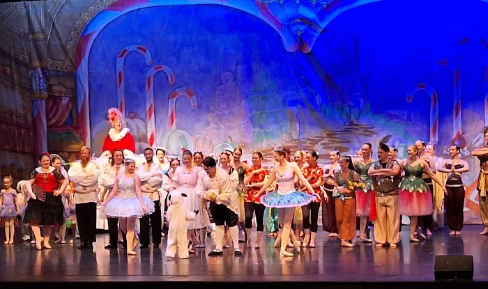 Alabama Youth Ballet Picture 2