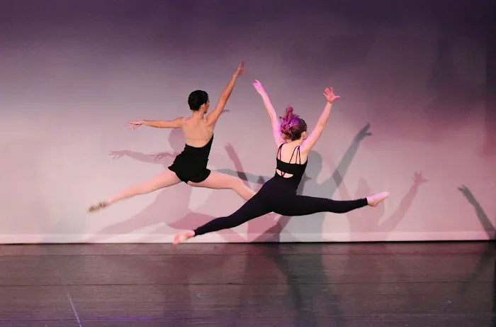 Alabama Youth Ballet Picture 9