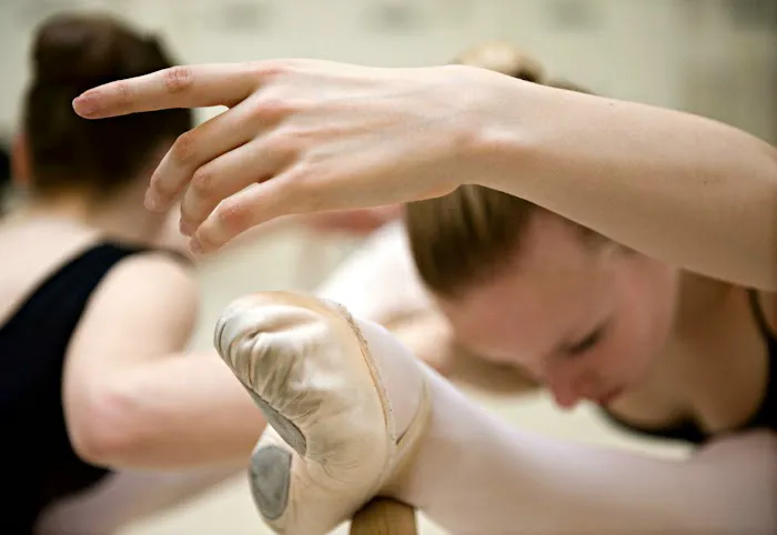 Brooke Desnoes Ballet Academy| Ballet South Picture 8