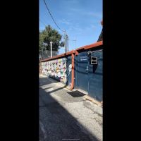 Elevate Pole Fitness & Dance Studio ico