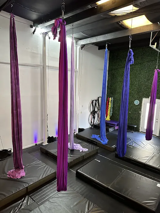 VB Aerial Arts Collective Picture 6