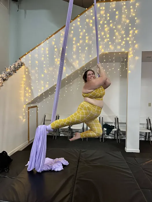 VB Aerial Arts Collective Picture 3