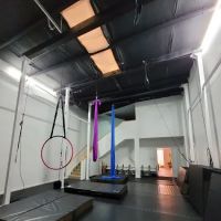 VB Aerial Arts Collective ico