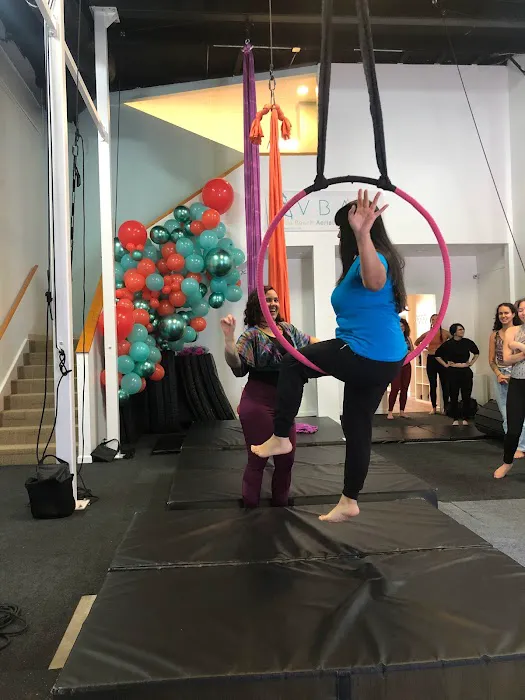 VB Aerial Arts Collective Picture 4