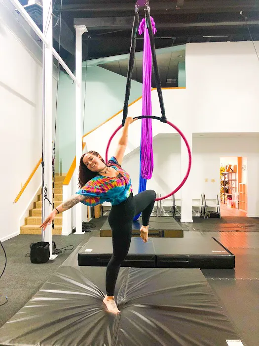VB Aerial Arts Collective Picture 8