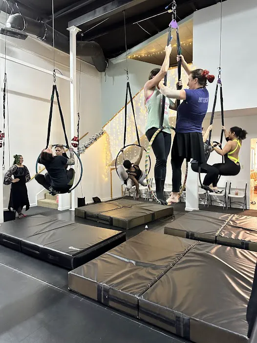 VB Aerial Arts Collective Picture 10