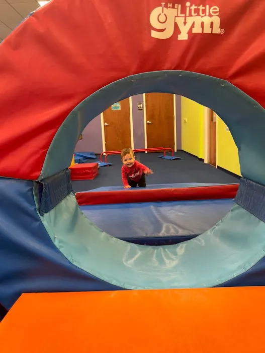The Little Gym of Virginia Beach Picture 3